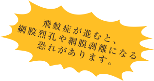 飛蚊症が進むと網膜烈孔や網膜剥離に